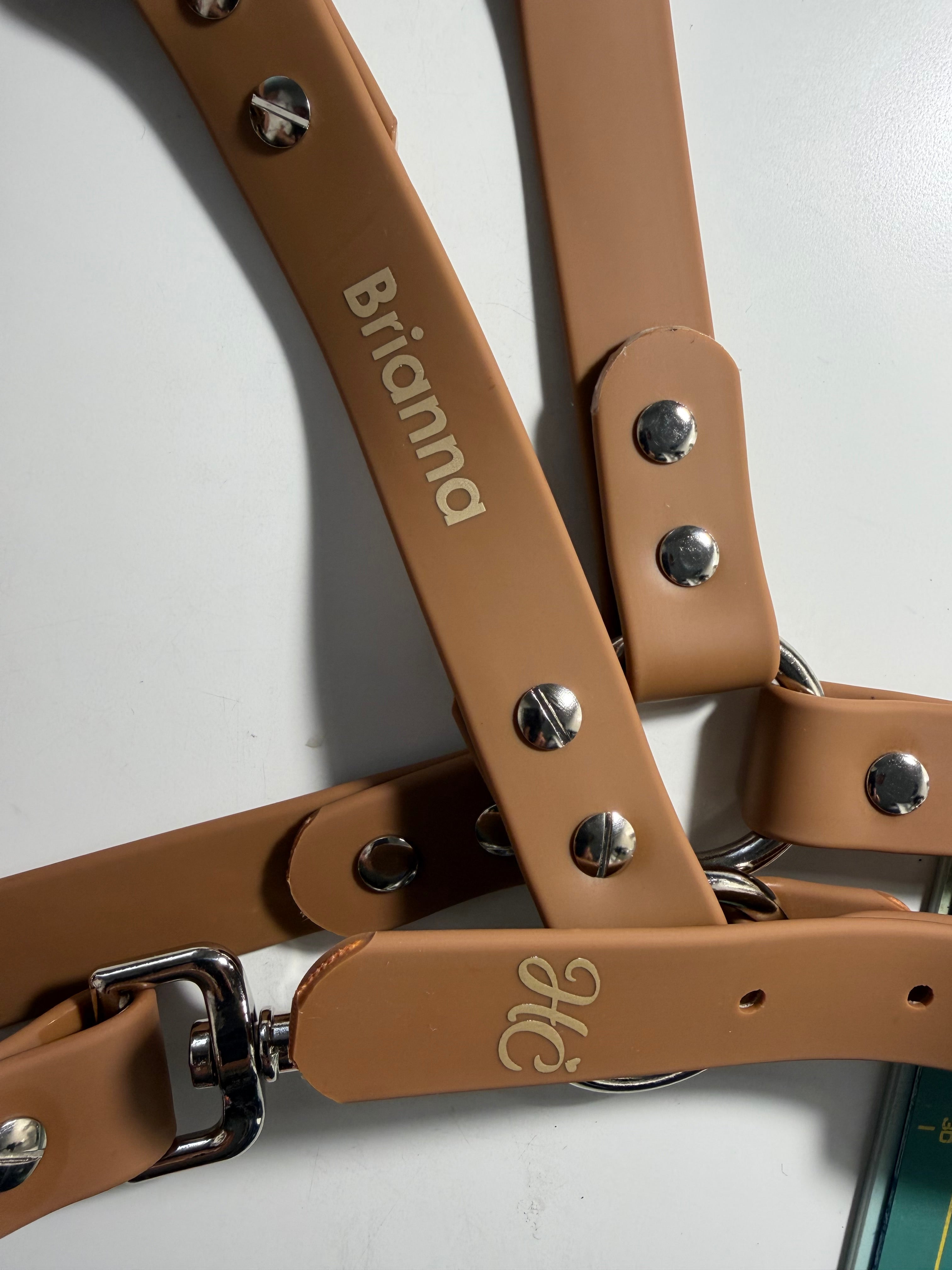 Cabezada cuadra personalizada caballo