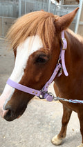 Cabezada cuadra