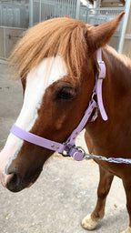 Cabezada cuadra