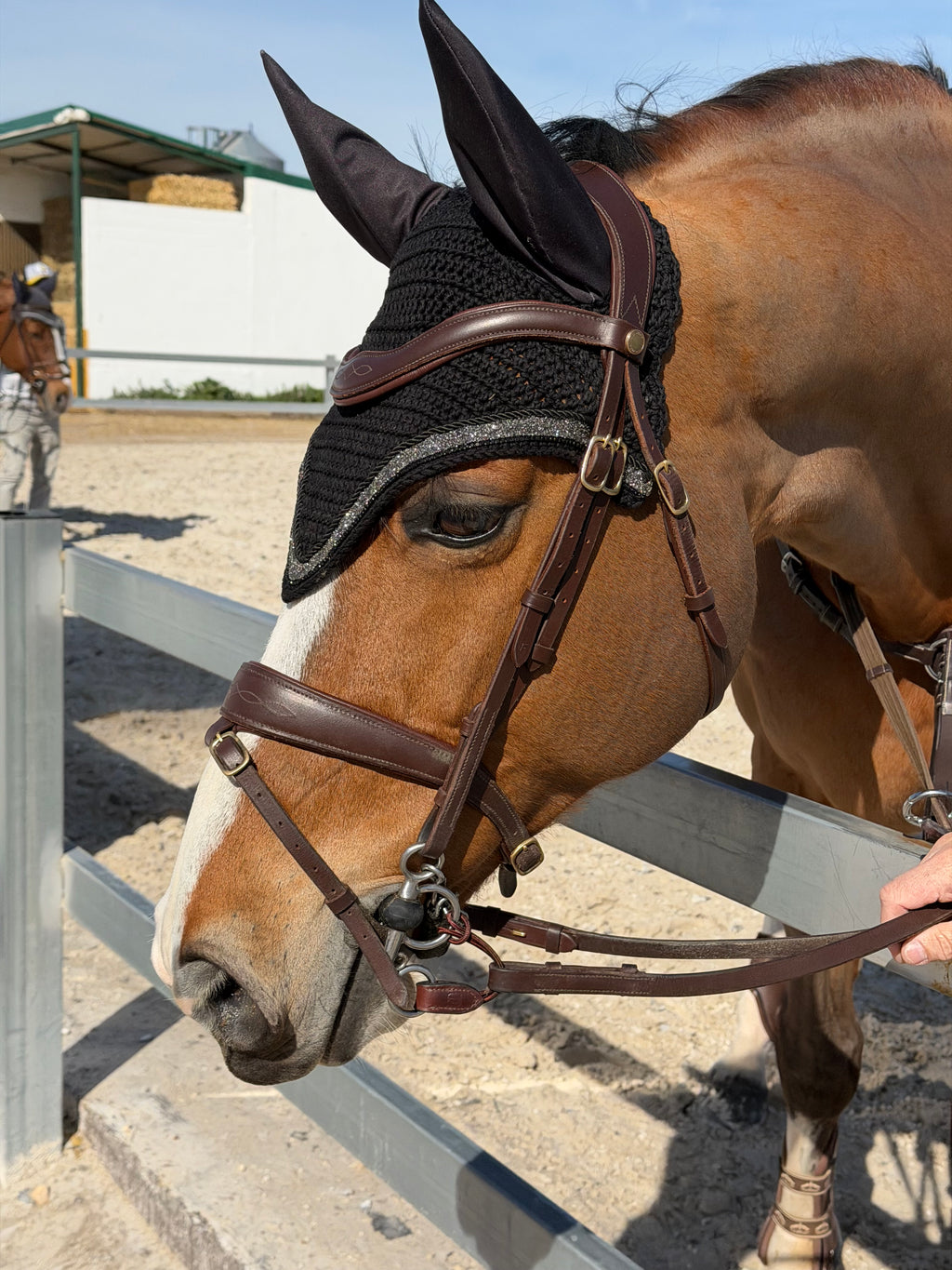 Orejeras caballo