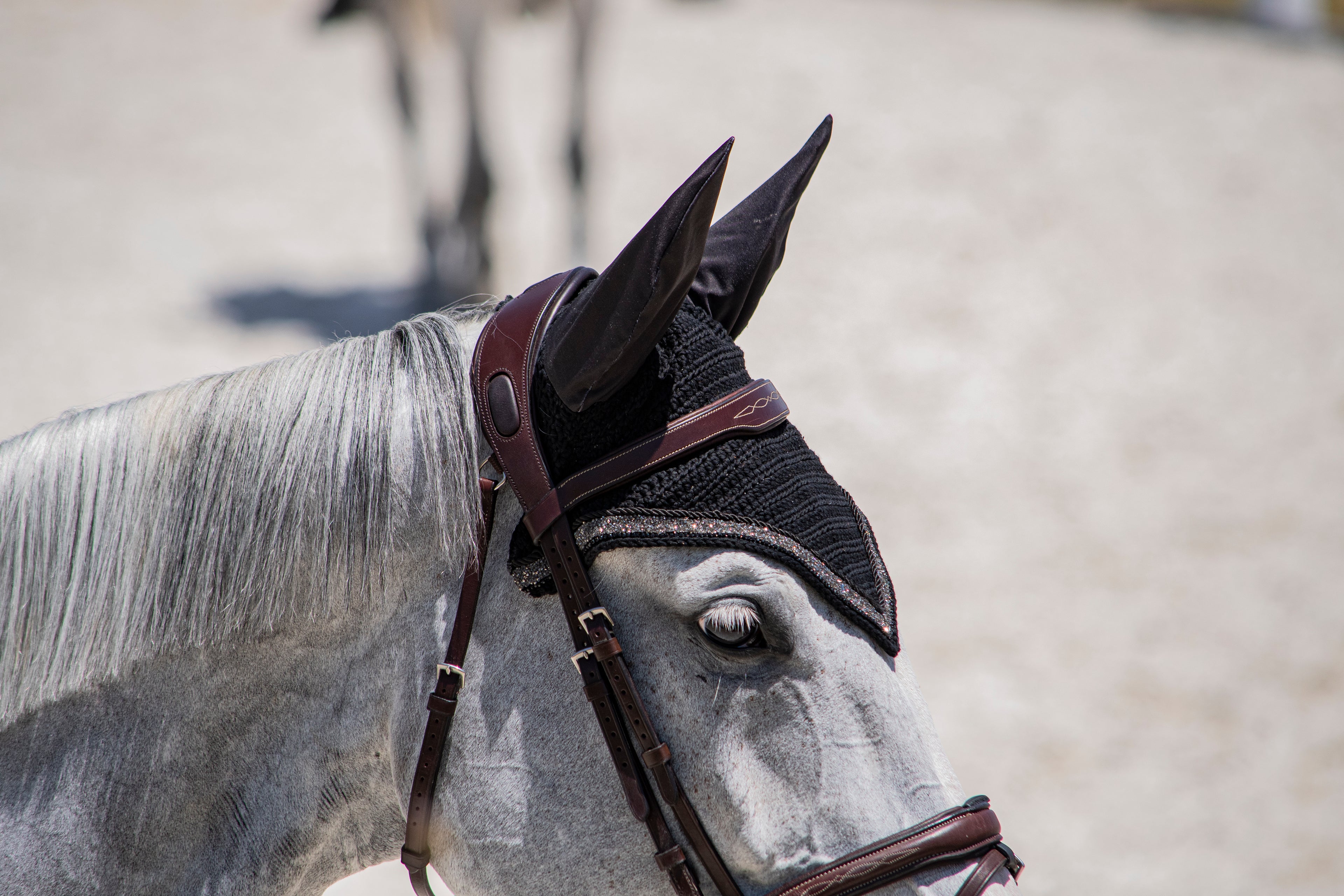 Orejeras caballo