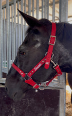 Cabezada cuadra personalizada caballo