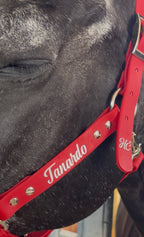 Cabezada cuadra personalizada caballo