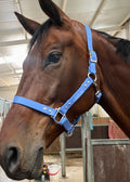 Cabezada cuadra personalizada para caballo